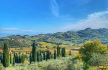 Carmignano Wine Tour with a Somm Small Group