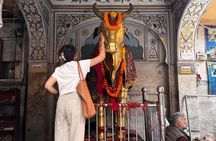 Classic Jaipur 101 Sightseeing, Food and E-Bike Tour