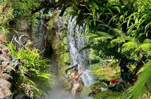 Visit Chiang Rai Temples and Lalitta Cafe from Chiang Mai