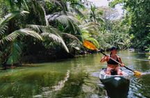 Kayak and Sloth Watching Tour. 