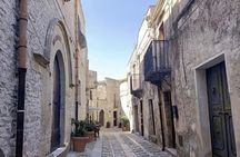 Full Day Tour to Segesta, Erice, Trapani, Saline TP and Dattilo