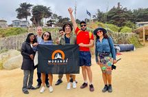 1 Day Tour of Isla Negra Algarrobo and Viña Undurraga from Santiago