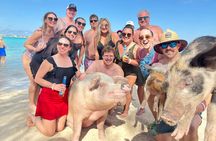  4-Island Tour Swimming Pigs, turtles, snorkeling , rose island, 