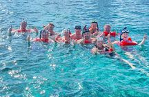  4-Island Tour Swimming Pigs, turtles, snorkeling , rose island, 