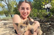  4-Island Tour Swimming Pigs, turtles, snorkeling , rose island, 
