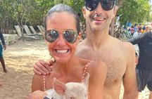 Swimming Pigs, turtles, snorkeling rose island reef .