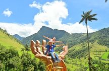 Private Tour Charm of Cocora Valley Salento and Philandia