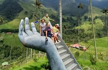 Private Tour Charm of Cocora Valley Salento and Philandia