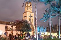 Private Tour Charm of Cocora Valley Salento and Philandia