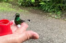 All Inclusive Mindo Cloud Forest in a Private Full Day Tour