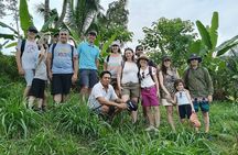 Tetebatu Guided Tour in Rice Terraces Waterfall and Monkey Forest