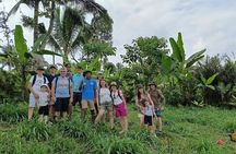 Tetebatu Guided Tour in Rice Terraces Waterfall and Monkey Forest