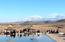 Magical Dinner Show in Agafay desert 