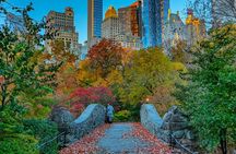  Central Park Pedicab Tours - History and Movie Locations