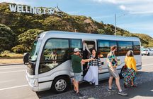 Discover Wellington 3 hour City Tour 