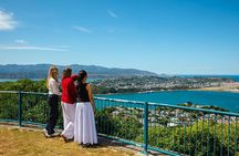 Discover Wellington 3 hour City Tour