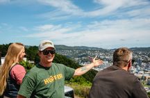 Discover Wellington 3 hour City Tour