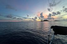 Private Island Boat tour, Snorkel & Discover hidden Treasures !