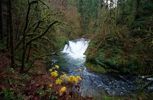 Silver Falls Private Hike Tour