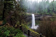 Silver Falls Private Hike Tour