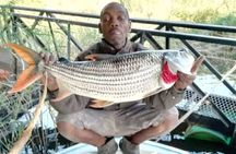 Victoria Falls 3 hours Tiger Fishing in Zambezi River 