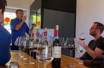 Private tour: discover Langhe wines with expert sommelier