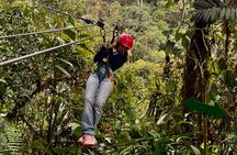 Mindo Cloud Forest Private Tour: Chocolate, Coffee, Birds, Nature
