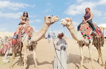 8 hours Cairo Day Tour Giza Pyramids ,Memphis City & Sakkara