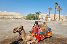 Day Trip to the Dead Sea Valley with GaryTheGuide