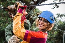 Combo Monteverde: Cable car + zip line tour + suspension bridges