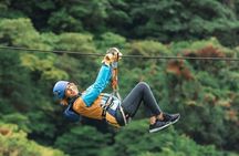 Combo Monteverde: Cable car + zip line tour + suspension bridges