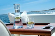 Exclusive Private Cruises on the Oslo Fjord