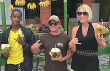 Private Montego Bay Customized Tour with pickup & Bamboo Rafting 