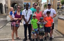 Private Montego Bay Customized Tour with pickup & Bamboo Rafting 