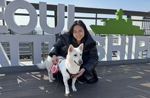 Seoul Street Food Tour at Mangwon Market with a Chef, Na Young