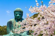 Kamakura Great Buddha and Enoshima with hotel Pickup small group