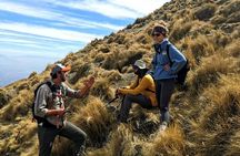 Hiking Activity to the Top of La Malinche from Puebla
