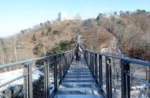 Closest Observatory to DMZ & Suspension Bridge from Seoul