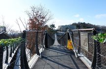 Closest Observatory to DMZ & Suspension Bridge from Seoul