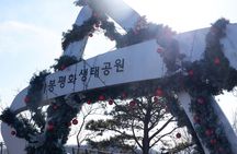 Closest Observatory to DMZ & Suspension Bridge from Seoul