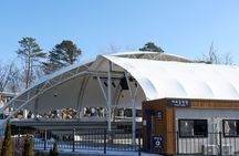 Closest Observatory to DMZ & Suspension Bridge from Seoul