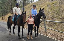 Guided Horse Ride Picnic Adventure