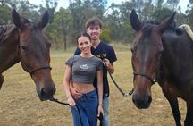 Guided Horse Ride Picnic Adventure