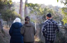 Tasman Peninsula Small-Group Guided Tour From Hobart