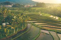 Bali Nature and Paradise Escape | With The Best Bali Driver