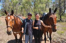 Sydney Guided Horse Ride Picnic