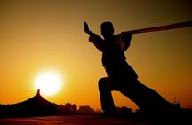 Kungfu Class and Bicycling on Xi'an City Wall
