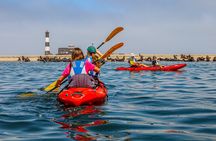 Mola Mola Kayaking Experience