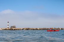 Mola Mola Kayaking Experience