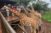 Nairobi Museum Snake Park Giraffe Center and Beads Center Tour